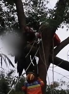 四川泸州一村民修剪自家树木被困6米高树上