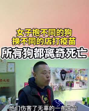 女子用宠物狗的生命诈骗