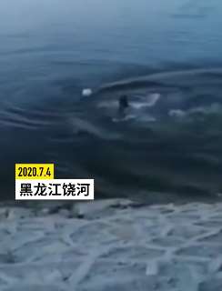 黑龙江一女子不慎滑入乌苏里江 审计员来不急脱衣跳江救人