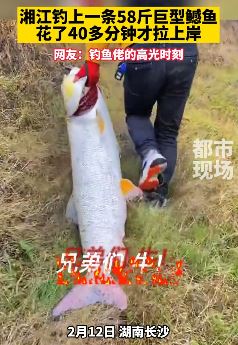 长沙一男子钓到58斤巨型鳡鱼 用时40分钟才弄上岸