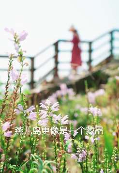 小姐姐带你游玩青岛燕儿岛公园