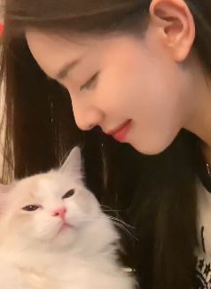 孙一宁抖音发与猫咪互动视频,喜欢这样的猫系女友吗?网友:看一次,喜欢一次,心累啊!