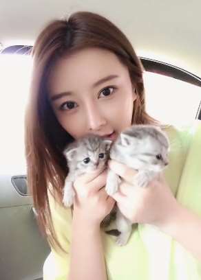 喜欢猫的美女更可爱