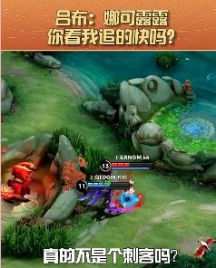 王者荣耀:吕布追击单杀娜可露露,这速度比刺客还快!