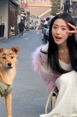 甜美小姐姐「唐甜心」街头与狗狗互动被无视 网友:狗不理靓妹