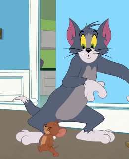 汤姆猫用奶酪抓老鼠，结果反被老鼠恶搞！