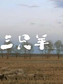 文艺剧情短片:三只羊,一部充满人文关怀的作品!