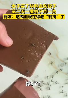 河北一女子买鸭血防蚊子  第二天一看蚊子倒一片