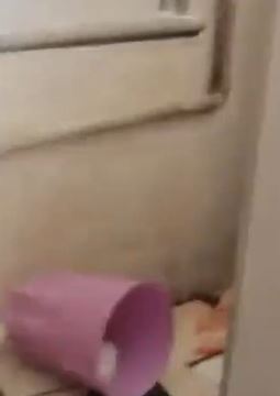 哈尔滨一高校女生厕所产子