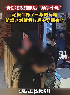 情侣吃完饭结账后顺走店家养的乌龟