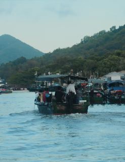 海南旅拍：一座岛屿与树木间的奇妙缘分