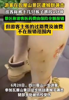 游客称在瓦屋山景区遭猴群袭击 脚部被咬伤