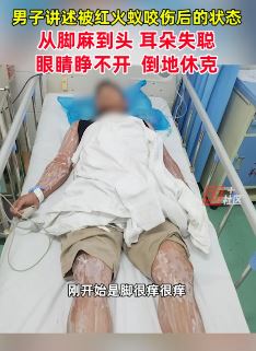 广东揭阳一小伙被红火蚁咬伤中毒倒地休克