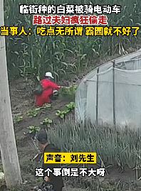 男子临街种白菜遭路过夫妇偷走