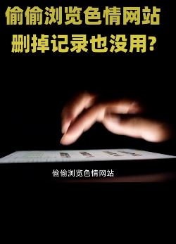 科普：浏览色情网站删掉记录也没用？你的手机号、ip地址已被收集！