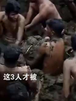 印度3村民遭雷击后被埋牛粪治疗