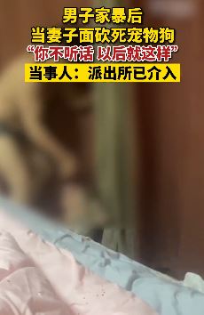 山东菏泽一女子曝丈夫家曝当其面砍死宠物狗并威胁：不听话这就是下场