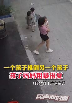 孩子被另一小孩推倒后妈妈粗暴报复