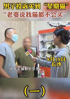 长沙一男子投诉买到"星期猫" 不到一周就死了