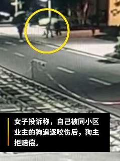 广东一女子被邻居狗咬伤索赔遭拒