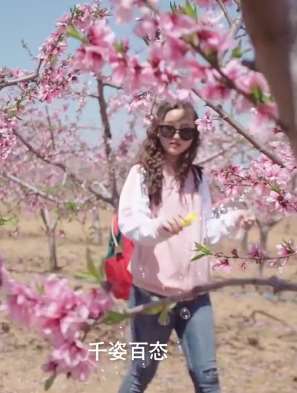 美女分享青岛春季赏花攻略 这些地方最适合赏花