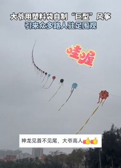 大爷用塑料袋自制“巨型”风筝飞上天后引围观