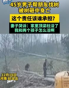河南一男子帮朋友伐树被砸身亡