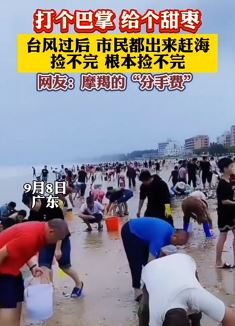 台风摩羯过后市民海边捡海鲜，网友调侃这算是“分手费”？