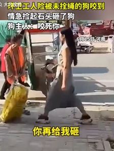 环卫工人险被狗咬捡石头砸之 狗主人：咬死你