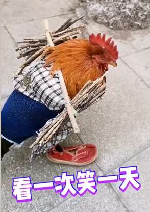 搞笑配音太逗了，看一次笑一次！