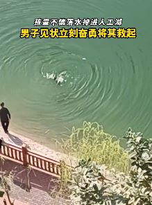 重庆一小孩掉人工湖 男子立即下水救起