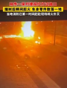 网传浙江舟山一保时捷闯红灯失控撞树后起火