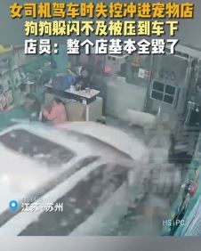 苏州一女子驾车失控撞进宠物店 店员：整个店被毁