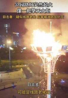 河南安阳一公园路灯突疑因线路老化起火