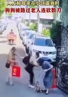 网曝女子小区遛狗时宠物狗被路过老人连砍数刀