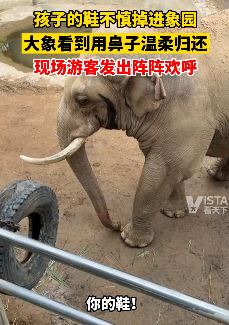 小孩鞋掉进象园 大象看到用鼻子卷起归还