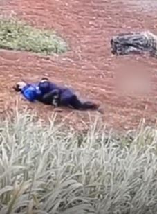 不法分子破坏边境设施偷渡入境被民警制服