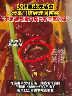 顾客火锅里吃出活虫 商家：是虫不是蛆
