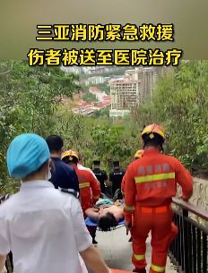 三亚一男子爬山被排蜂蜇伤昏迷