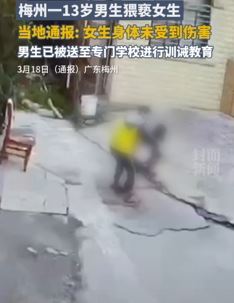 梅州一13岁男孩将女孩拖到角落实施猥亵