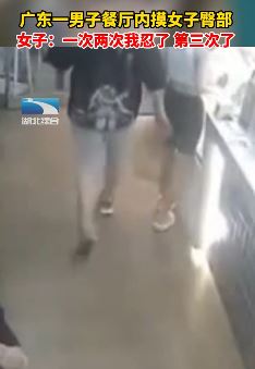 广东佛山一男子餐厅3摸女子臀部