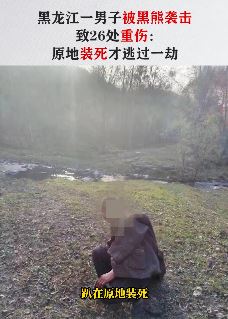 黑龙江伊春一男子遭黑熊袭击 装死逃过一劫