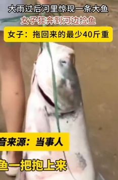 暴雨后女子河边捡到40斤重大鱼
