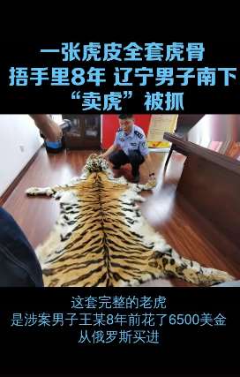 辽宁一男子南下“卖虎”被抓