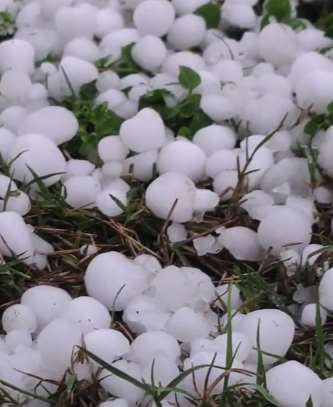 云贵多地遭冰雹袭击 农作物被打烂残落一地