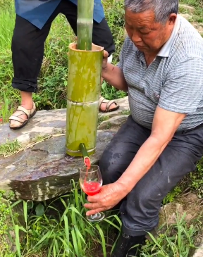 竹筒压榨西瓜,这才是大自然味道,就是有点浪费!