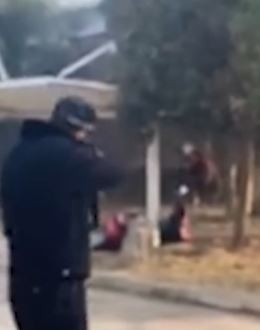 安徽凤阳一黄牛受惊横冲直撞 为防伤人特警果断击毙