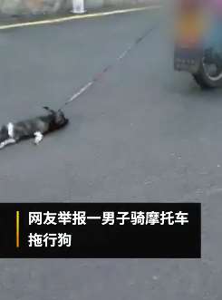 福建石狮一男子骑车拖行小狗被举报 自称想带回家收养