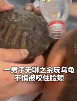 隔着屏幕都痛！男子无聊”调戏“乌龟脸被咬！