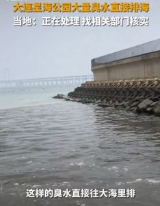 网曝大连星海公园大量臭水直接排海